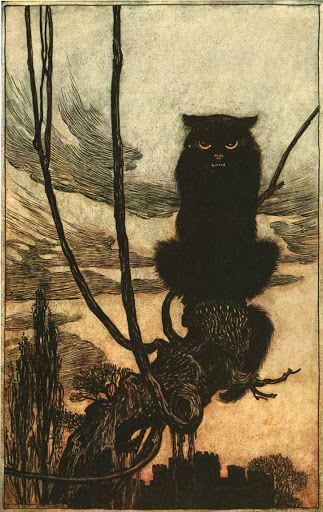 artur rackham - cat illustration from Grimms Fairy tales