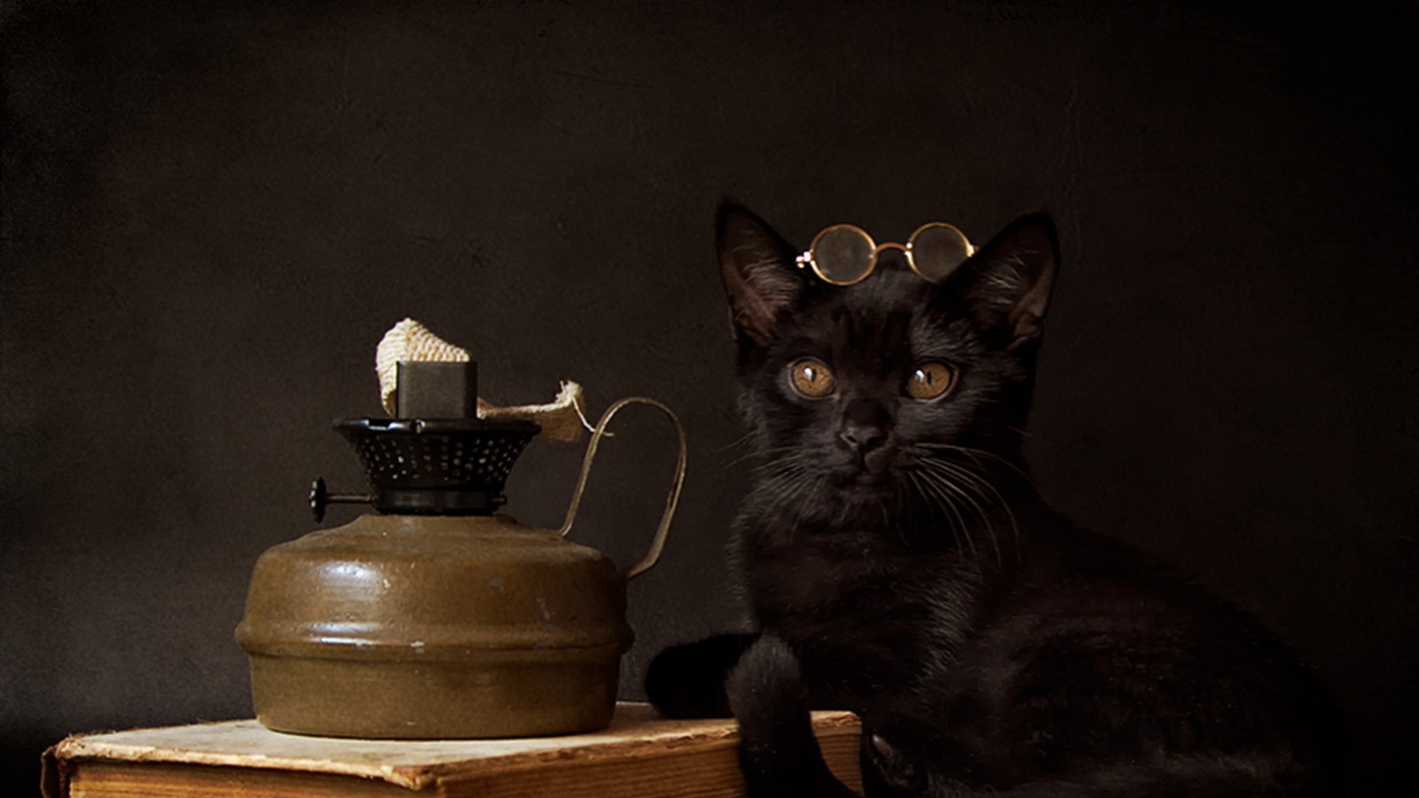 Черный кот в очках
